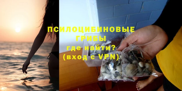 спиды Зеленодольск