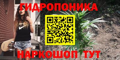 apvp Гусь-Хрустальный